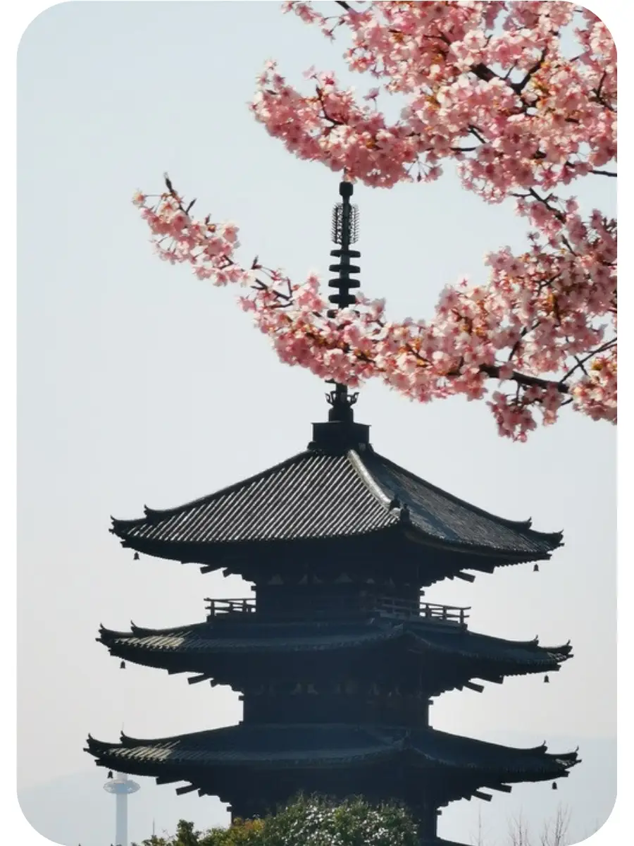 Lorem ipsum dolor sit amet
